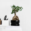 Product - 11 – Image 4