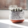 Product - 13 – Image 2
