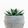 Product - 16 – Image 4