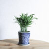 Product - 05 – Image 3