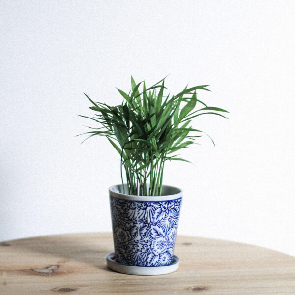 Product - 09