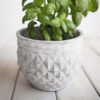 Product - 16 – Image 3