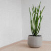 Product - 10 – Image 2