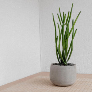 Product - 14